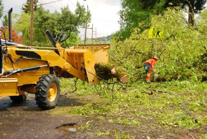 Land Clearing & Clean Up image