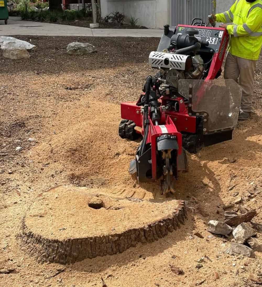 Stump Grinding image