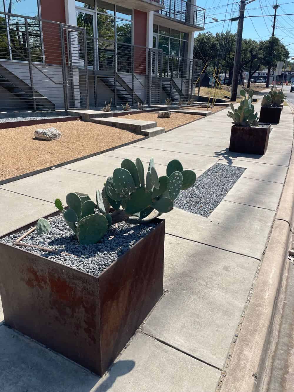 Native Plant & Tree Installations image