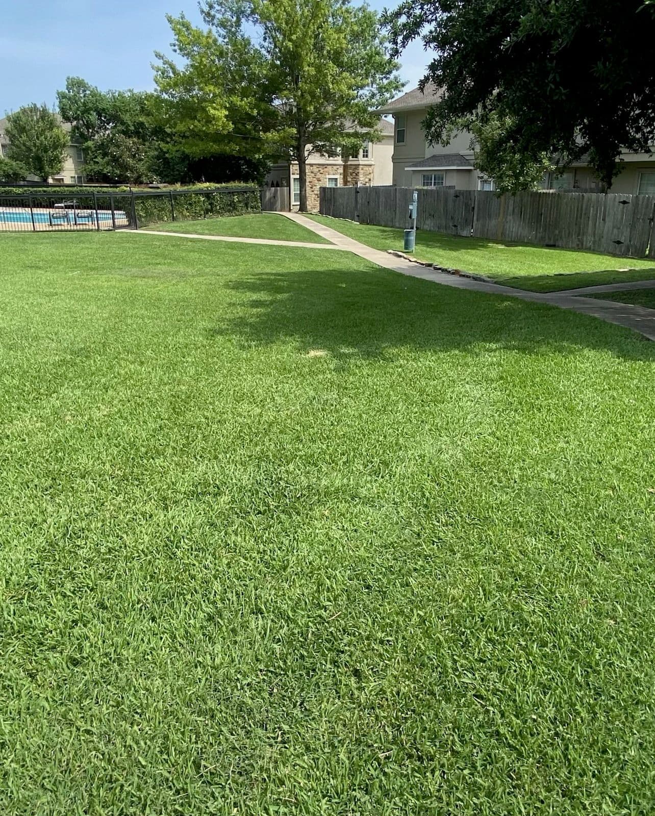 Project Thriving HOA Thanks to Our Recurring Landscape Maintenance image