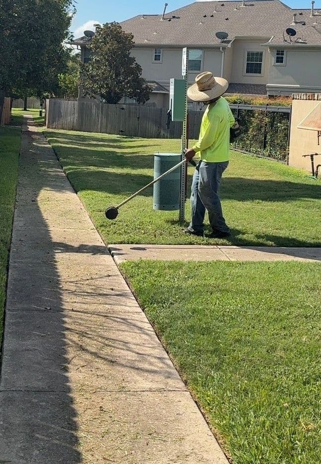 Project Clean Lines Every Time with Austin's Recurring Landscape Maintenance image