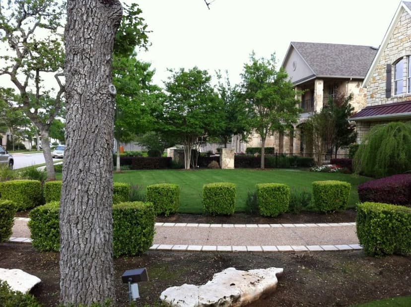 Certified Arborist Expertise's image