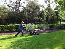 Eco-Friendly Solutions's image